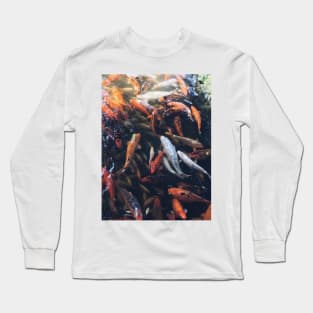 Koi Fish Family Long Sleeve T-Shirt